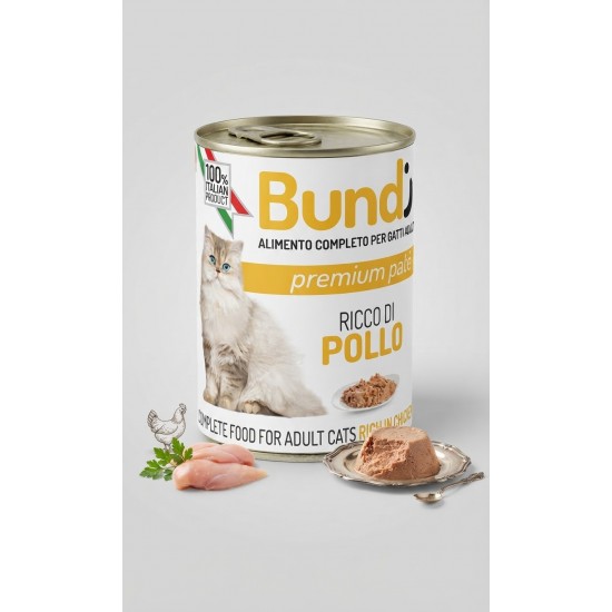 Bundy Cat ar Vistas gaļu 400gr